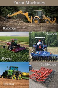 How to Choose the Best Seeds for Your Climate and Region