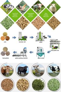 Best Animal Products That Improve Farm Efficiency