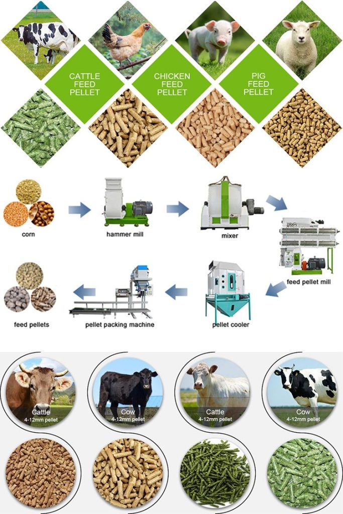 Best Animal Products That Improve Farm Efficiency