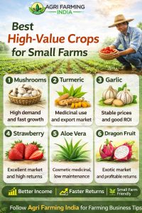 High-Quality Saplings That Boost Farm Productivity
