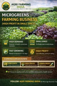 Organic Pest Control Methods for Your Garden