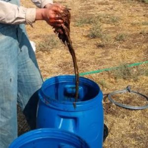 Organic Fertilizers and Farming Inputs for Healthy Soil
