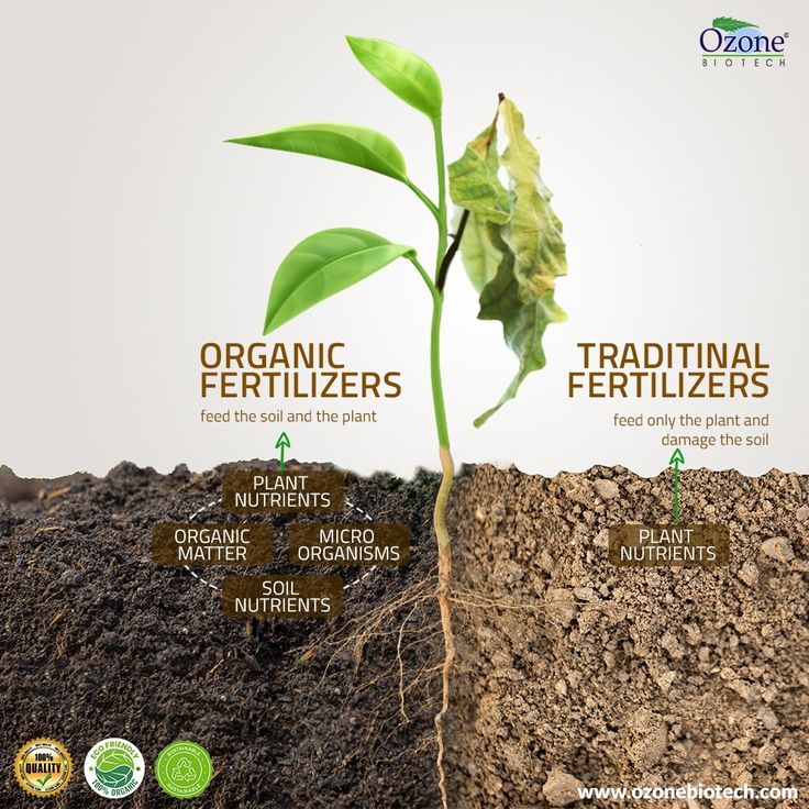 Organic Fertilizers for Sustainable Farming