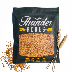 Hardy Winter Wheat Seeds