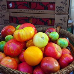 Organic Heirloom Tomatoes