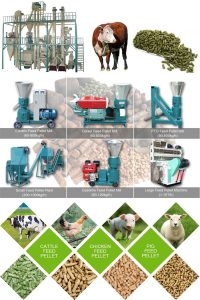 Livestock Feeding Strategies for Healthier Farm Animals