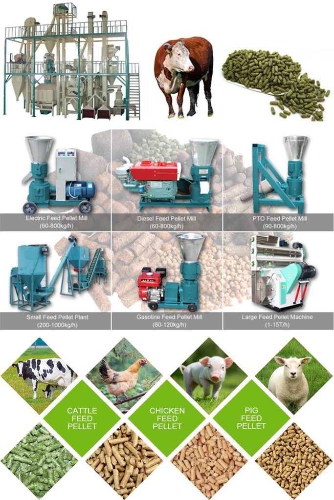 Livestock Feeding Strategies for Healthier Farm Animals