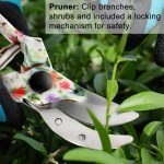 Handheld Pruning Shears